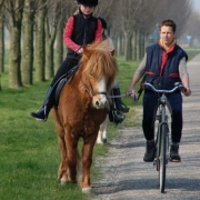 zo-rij-ik-vaak-met-mijn-lesklantjes-aan-de-kant-van-de-weg-bjork-rijdt-nog-niet-zolang-maar-geniet-heel-erg-altijd-op-vidir-onze-ijslander-zeker-omdat-ze-zelf-ook-ijslands-bloed-heeft